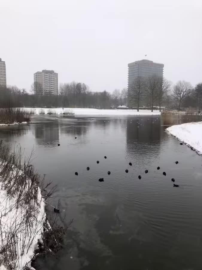 Erasmuspark in winter