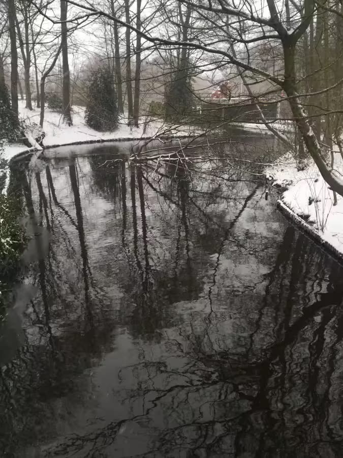 Erasmuspark in winter